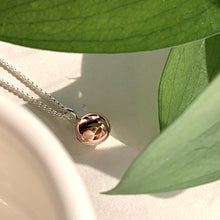 Charger l'image dans la galerie, Vol13 | Collier